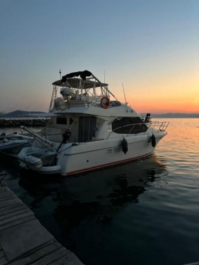 Solmar Yacht